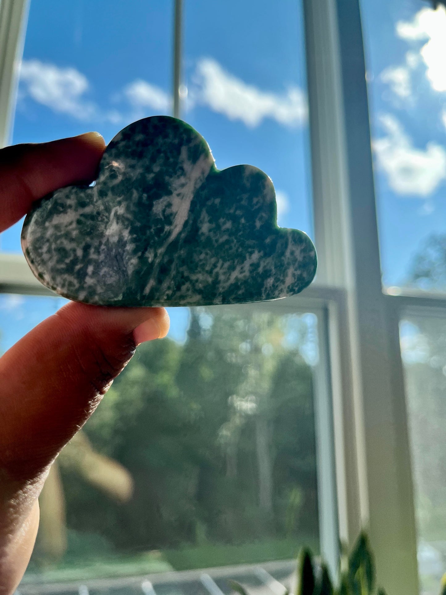 Tree Agate Crystal Cloud