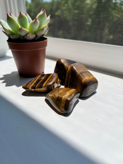 Tigers Eye Tumble