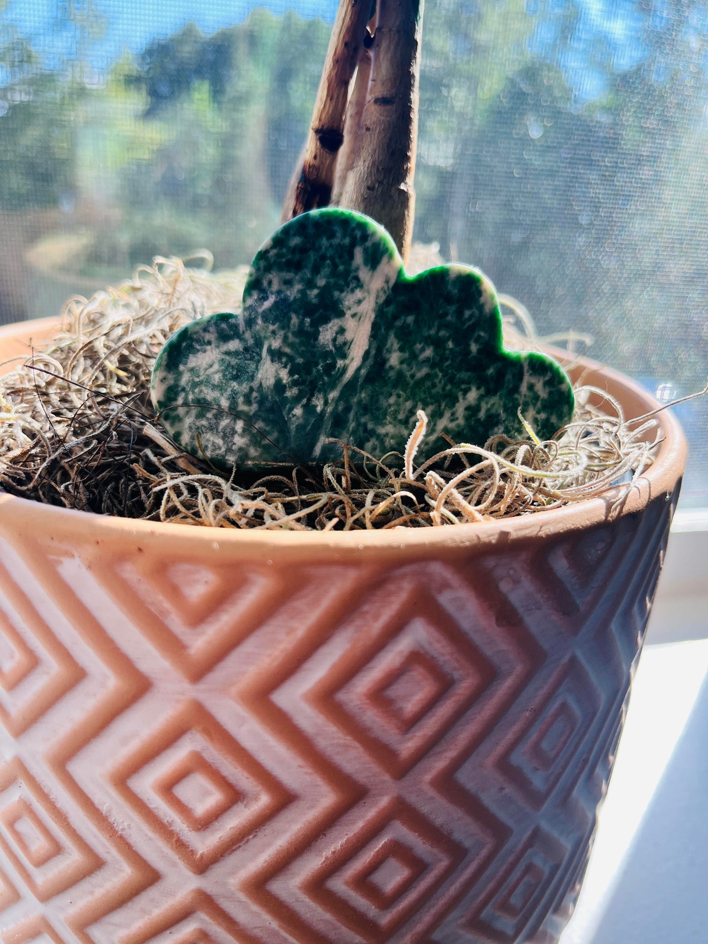 Tree Agate Crystal Cloud