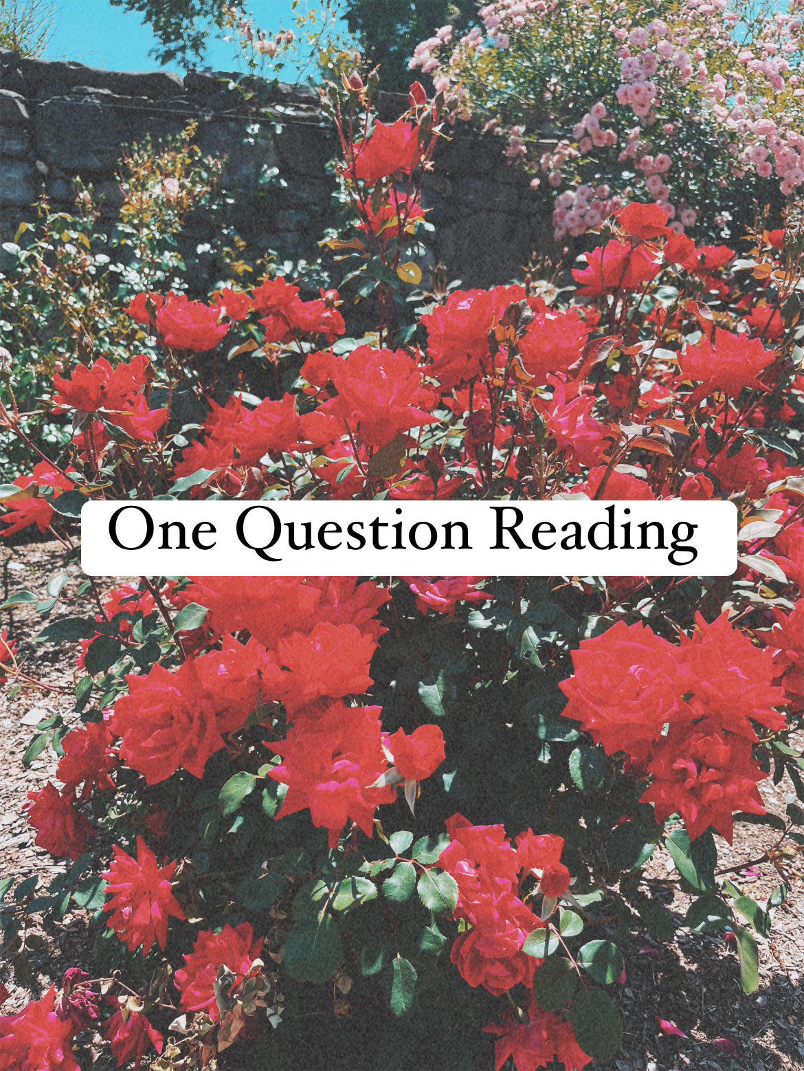 One Question Mini Reading